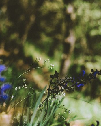 Le labo - Santal 33
